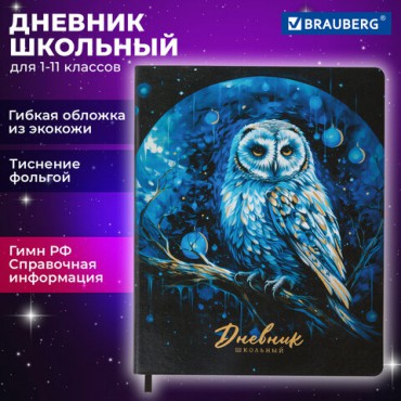 Дневник 1-11 класс 48 л., кожзам (гибкая), печать, фольга, BRAUBERG, "Совушка", 106919